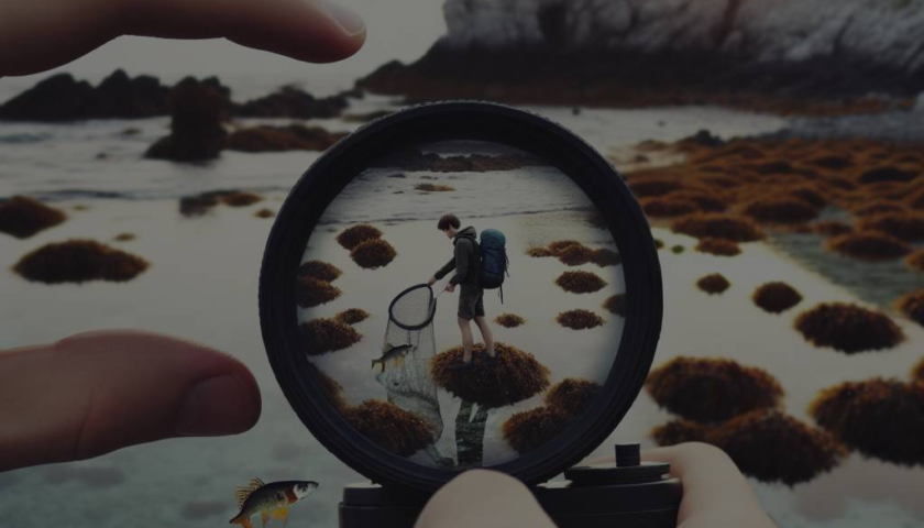 Découverte des meilleurs spots pour capturer des petits poissons